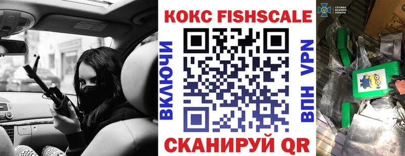 где купить наркоту  Чистополь  MEGA ссылки  COCAIN FishScale 