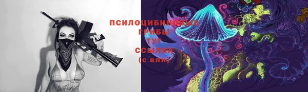 ECSTASY Алексин