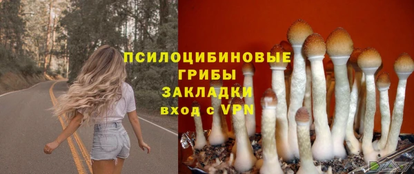кокс Алексеевка