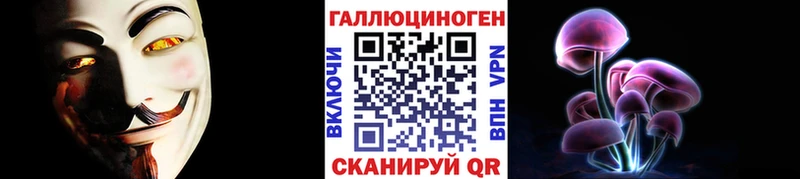 Галлюциногенные грибы Psilocybine cubensis Чистополь