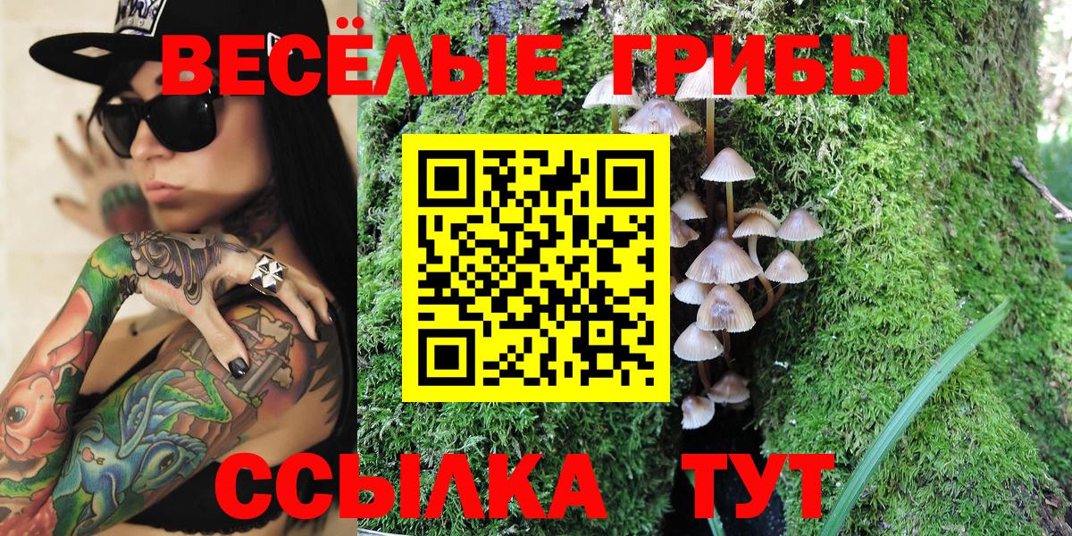 закладка  Вход с VPN  Чистополь  Псилоцибиновые грибы Cubensis 