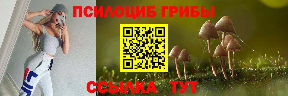 Галлюциногенные грибы Magic Shrooms Чистополь